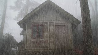 Forte Pluie tonnerre et vent sur un toit vide la nuit  Pluie et Orage Pour Dormir Profóndamente [upl. by Esoranna]