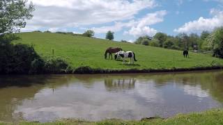 Atherstone Walk Woods and Canal [upl. by Elka]