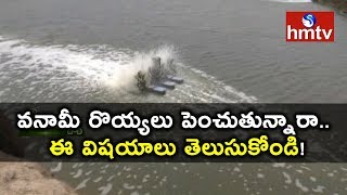 Vannamei Prawn Farming Techniques  Mahabubabad Farmer Success Story  Nela Talli  hmtv News [upl. by Aicirtel]