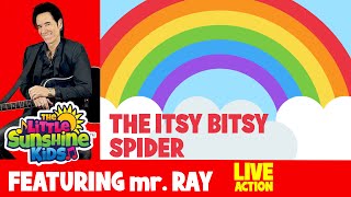 The Itsy Bitsy Spider Feat Mr Ray and The Little Sunshine Kids [upl. by Lenaj774]