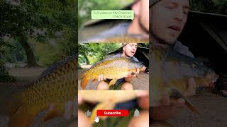 16lb common from Bslbp carpfishing fishing carp [upl. by Nirrok]