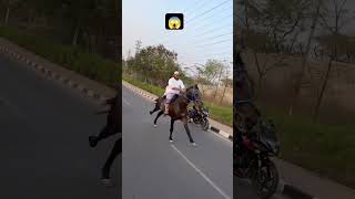 Wait for end 😱 Horse riding video shortsfeed trendingshorts viralvideo browsefeatures ytshorts [upl. by Einahpets]