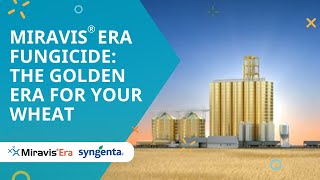 Miravis® Era fungicide The golden era for your wheat [upl. by Yriek]