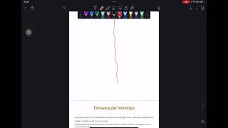 Intravascular And Extravascular Hemolysis [upl. by Yme]