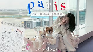 EP1 우당탕탕 강아지랑 유럽여행 준비부터 출국까지🇫🇷  유럽 여행 브이로그 [upl. by Aivirt803]