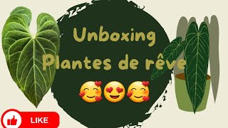 Unboxing plantes  EBay et TheCoolPlantShop [upl. by Galanti744]