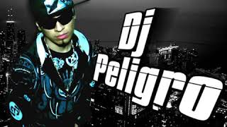 Dj peligro coqueta y descarada [upl. by Shippee]