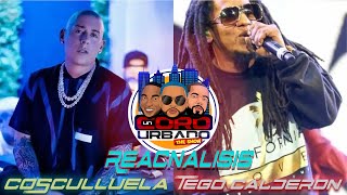 Cosculluela x Tego Calderón  CHAMBEAN REACNALISIS 🔫 💎 [upl. by Romaine]