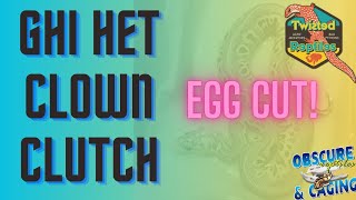 GHI Het Clown Egg Cutting [upl. by Nuawad]