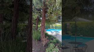 Beautiful Backyard 🎆🏠realestate homedesign interiordesign reels realty shorts tiktok tour [upl. by Thaxter]