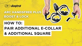 Pair Additional ECollar and Square  DOGTRA ARC HANDSFREE PLUS BOOST amp LOCK EDITION [upl. by Cesya]