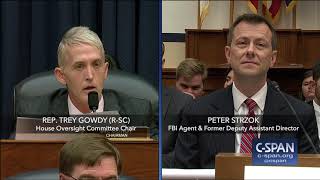 Complete exchange between Rep Trey Gowdy and FBI Deputy Assistant Director Peter Strzok [upl. by Lleznod]