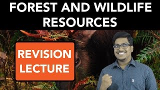 Geography Forest and Wildlife Resources Revision [upl. by Thrasher]