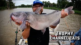 Red River of The North North Dakota Trophy Catfish Ft Brad Durick [upl. by Akinehs]