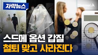 자막뉴스 예비부부 울리는 스드메 갑질 사라진다옵션 가격 공개  채널A [upl. by Senaj]