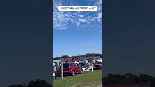 When in town we always visit the Webster Flea Market in central Florida fliplife fleamarket [upl. by Elmer]