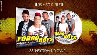 FORRÓ BOYS VOL 6  03  SÓ O FILÉ [upl. by Naitsirc]