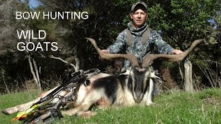 Bow Hunting New Zealand Wild Goats Featuring 2014 Mathews Chill R [upl. by Deragon912]