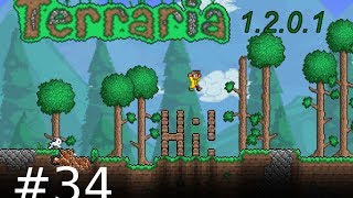 Terraria 34  Back to the Roots  Lets Play Terraria Half Blind Ger HD [upl. by Regine144]