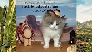 Meowdy pardner [upl. by Bunce]