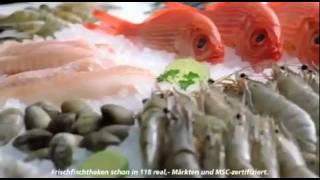 Youtube Kacke  Frischer Fisch [upl. by Eirrac308]