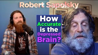 How Accurate is the Depressed Brain  Robert Sapolsky [upl. by Placia248]