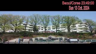 Soongsil University Polisci님의 실시간 스트림 [upl. by Jabin]