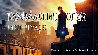 Блуждающие Огни — Мир чудес Fantastic Beasts amp Harry Potter [upl. by Ado]