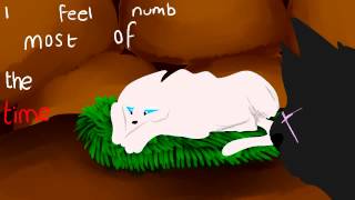 Cinderpelt Numb Warriors MV [upl. by Dannye443]