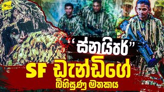 ස්නයිපර් SF ඩැන්ඩිගේ බිහිසුණු මතකය  WANESA TV [upl. by Kyred]