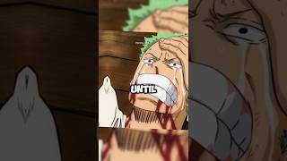 How Many Times Has Zoro Cried in One Piece 😭😱 [upl. by Noissap]