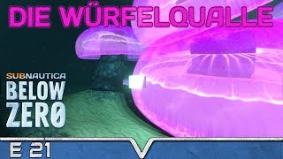 SUBNAUTICA Below Zero Deutsch ★ 21 Die Würfelqualle ★ Spy Pengling [upl. by Jacobina]