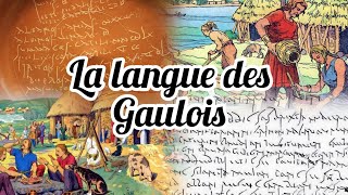 HistoireMystères de la Gaule et des Gaulois La langue gauloise [upl. by Almena]