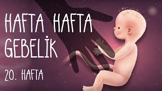 Hafta Hafta Gebelik 20 hafta [upl. by Negeam]