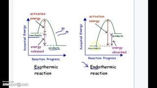 Endothermic Vs Exothermic Reaction Graphs [upl. by Joella]