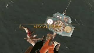 Megalodon  Stranded Deep [upl. by Larena]