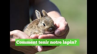 LAPINS  Comment tenir notre lapin [upl. by Genisia]