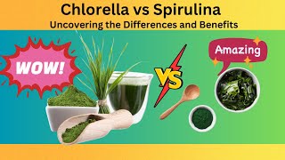 Chlorella vs Spirulina Uncovering the Differences and Benefits [upl. by Acsecnarf]