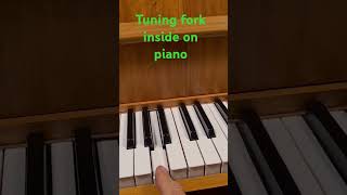 Tuning fork inside on Schimmel piano [upl. by Shandra662]