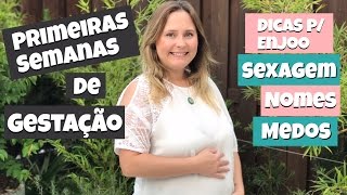 Diário da Gravidez  8 semanas  Mamãe Felícia [upl. by Magocsi817]