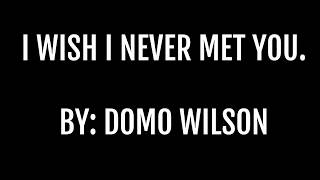 I Wish I Never Met You By Domo Wilson LYRIC VIDEO [upl. by Chelsea]