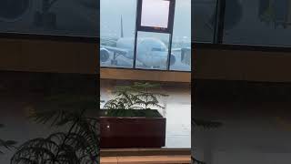 Aeroplane video from airport waiting area lahore travel beautifulairport pakistanairport [upl. by Rtoip]