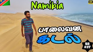 🏝️ நமிபியாவின் இயற்கை அதிசயம்  🇳🇦 NAMIBIA EP 6 [upl. by Matilda]