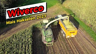 Mais Hakselen 2023  Wiverco  Krone Big X  1180 met 12 rijen [upl. by Tnattirb]