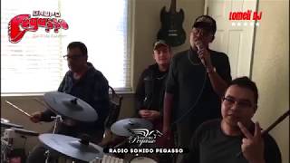 Grupo Pegasso  La Dueña de mi Vida ENSAYO 2 [upl. by Eizdnil887]