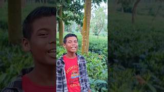 Baganiya Gaan Song Assamese Song Shorts baganiyasong assmesesong shortsfeed [upl. by Alec]