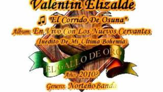 El Corrido De Osuna Inedito  Valentin Elizalde [upl. by Tamqrah653]