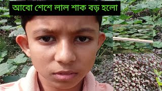 আবো শেষে কি হলো আমাদের লাল শাক [upl. by Oderfigis]