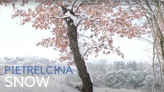 Snowy Pietrelcina [upl. by Renita]