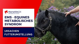 EMS  Equines Metabolisches Syndrom Ursachen und Futterumstellung [upl. by Pfeifer]